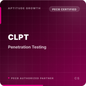Penetration Testing Professional